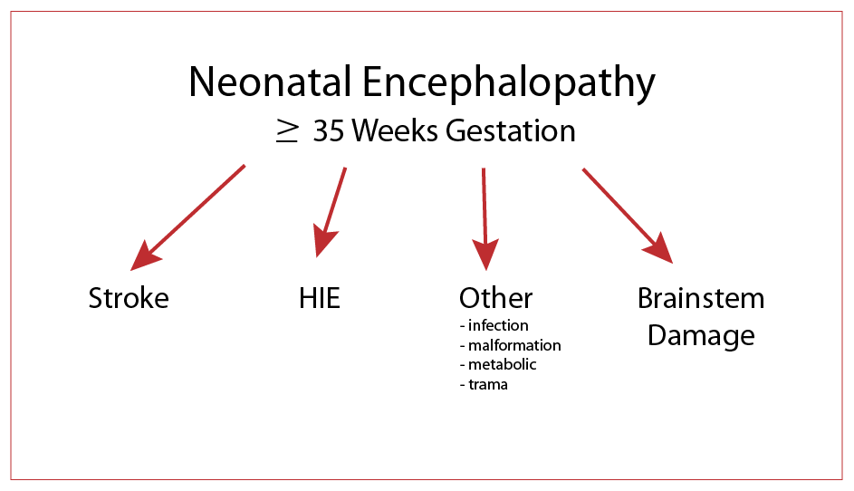 Five Misperceptions About Hypoxic-Ischemic Encephalopathy (HIE)