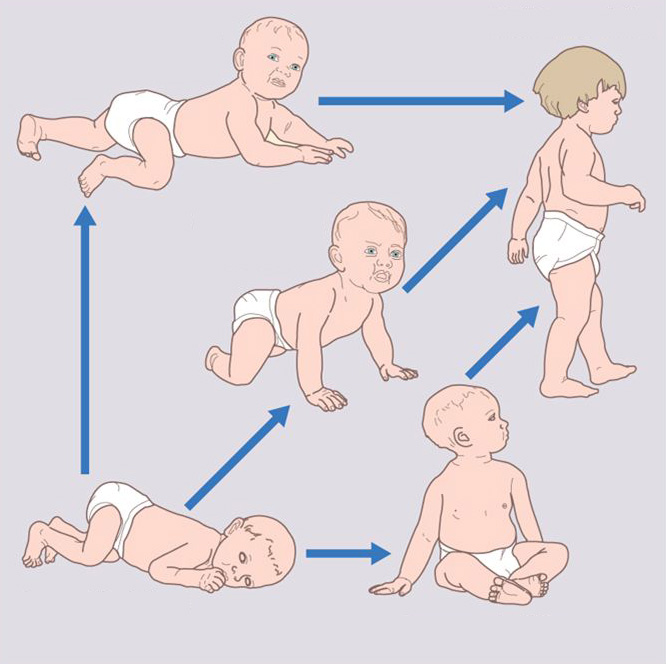 Crawling Normal But Not Necessary KAREN PAPE MD